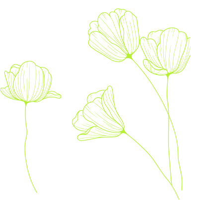 fond fleurs